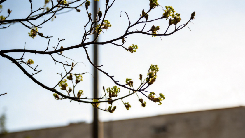    фото: Общественная служба новостей Алена Мищенко