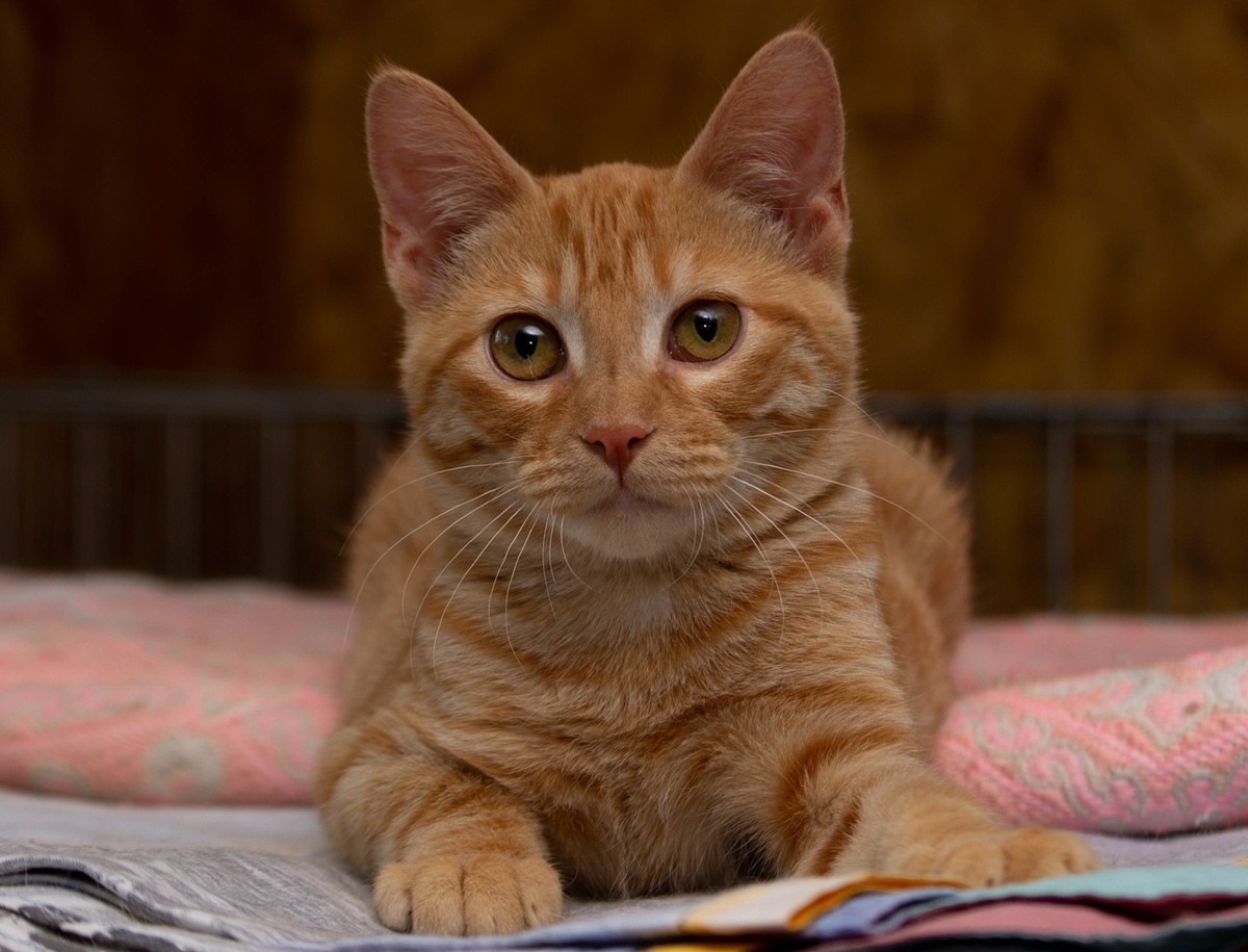 Сонечка в Центре