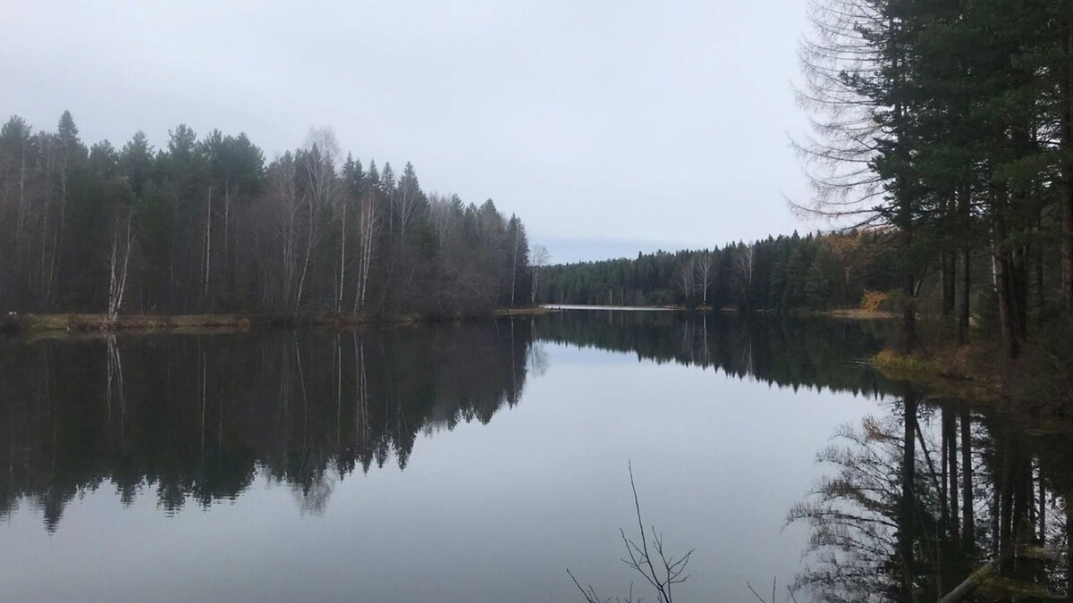  1MI