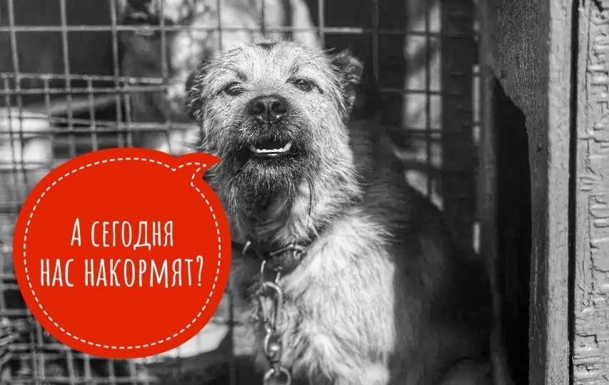 Тихая катастрофа в хосписе: 500 инвалидов голодают!