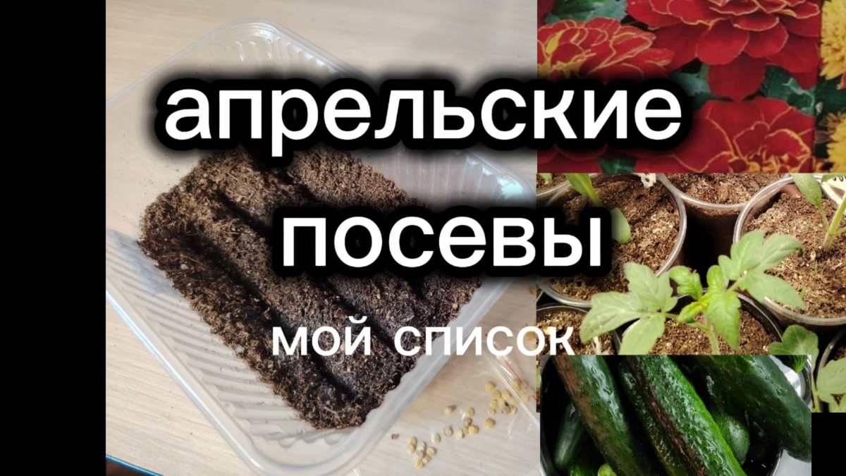 Что чаще всего сеем в апреле
