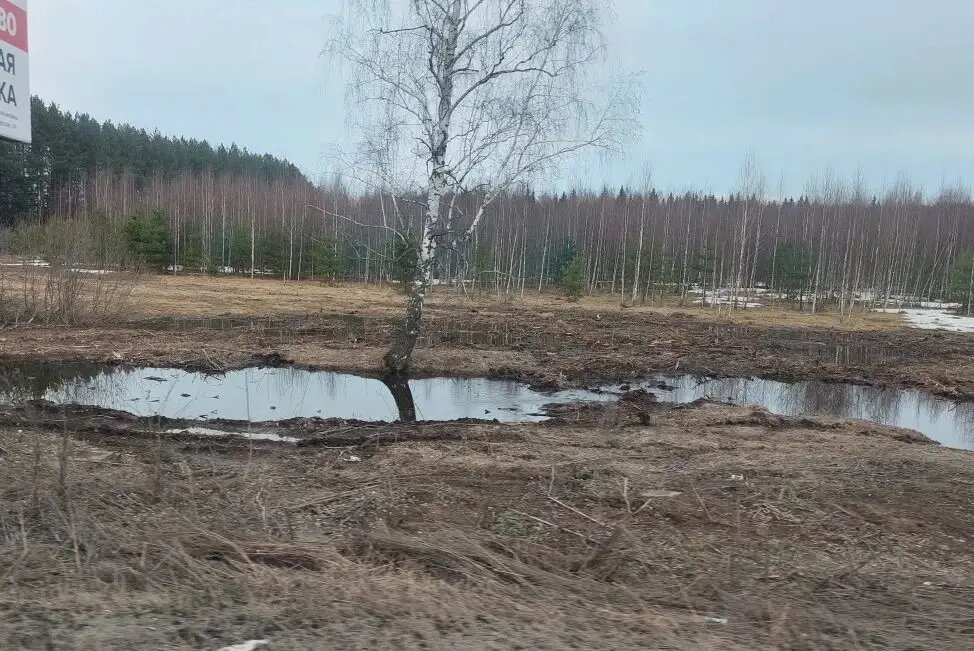     © "Интерфакс". Андрей Сенчёнок