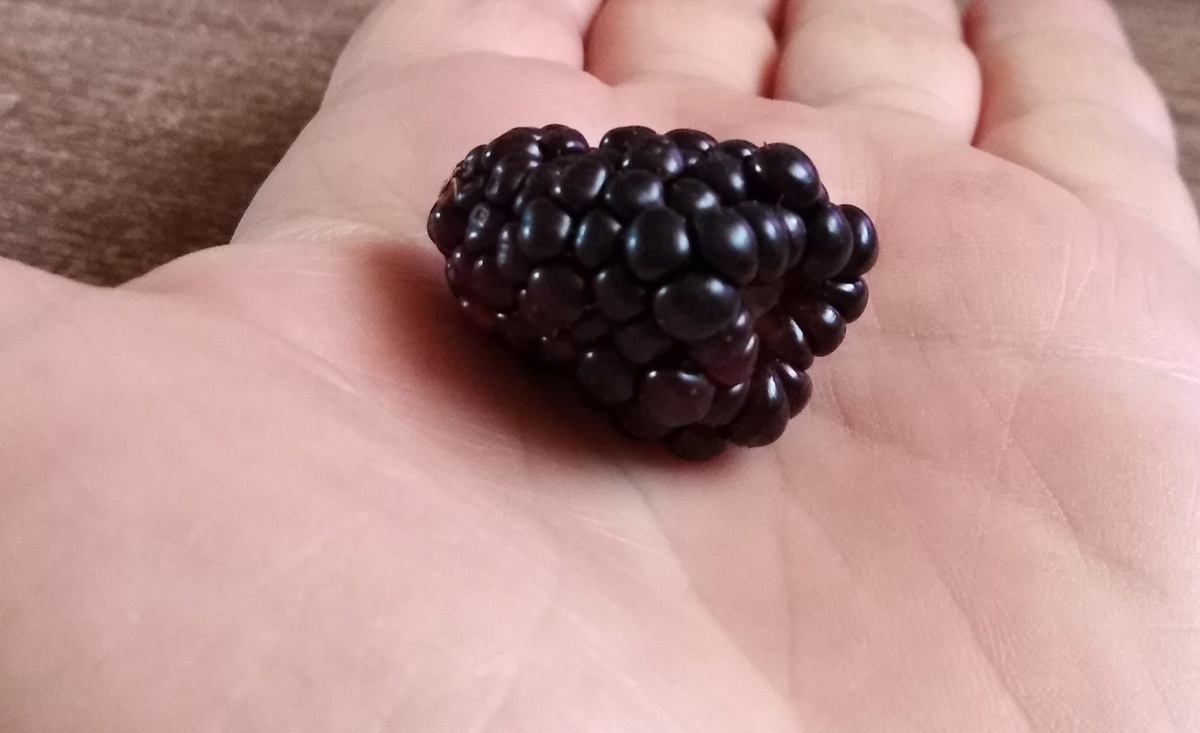 Крупные ягоды