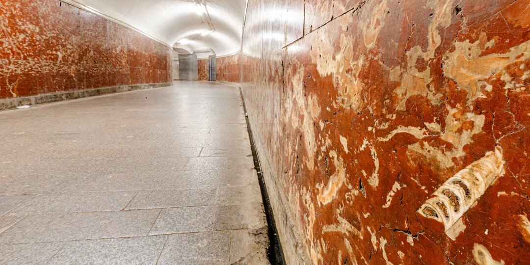 Выставка «РЕЙС В МЕЗОЗОЙ: ПЛАНЕТАРИЙ – МЕТРО»: станция «Павелецкая»