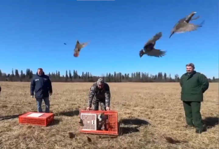 фото: max.ru/drozdenko_au_lo