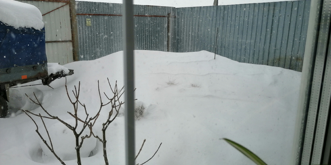 А у нас опять зимний апрель, но мы не сдаёмся