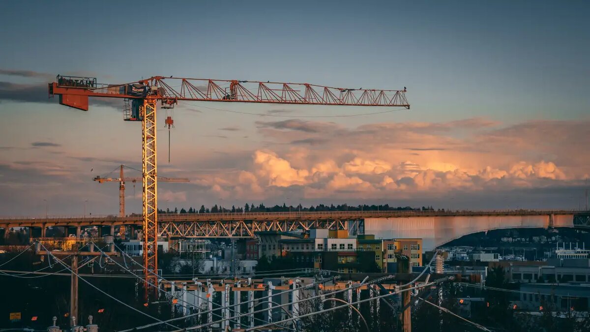     © ru.freepik.com/wirestock