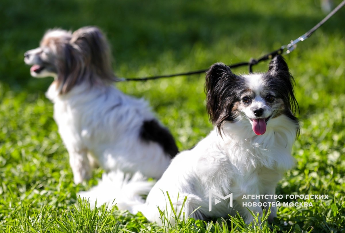 Фотограф: Дмитрий Белицкий