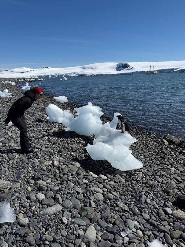 На фото:  ведущая прогноза погоды на канале "Россия 1" Виктория Черникова 