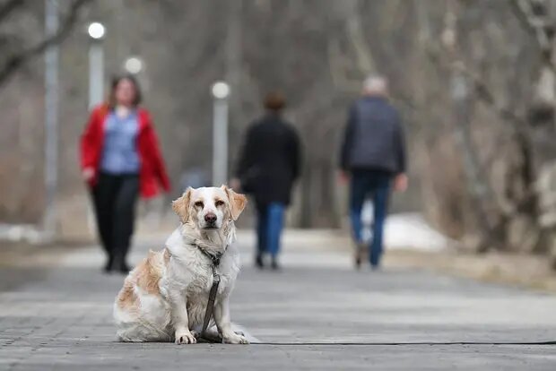    Источник: lenta.ru/ Богдан Жуков