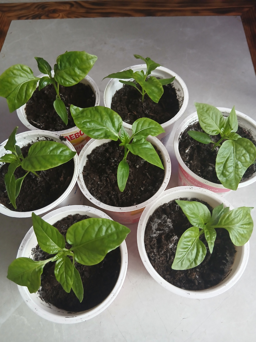 Небольшой личный излишек