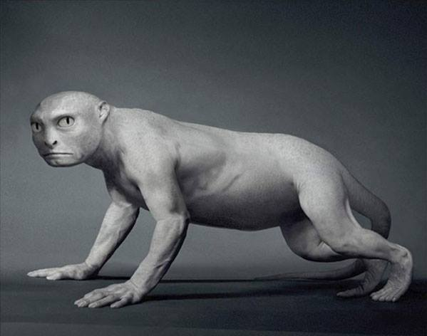 Изображение из открытых источников