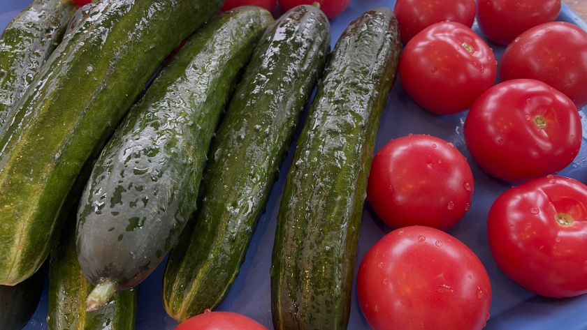    Фото из архива редакции