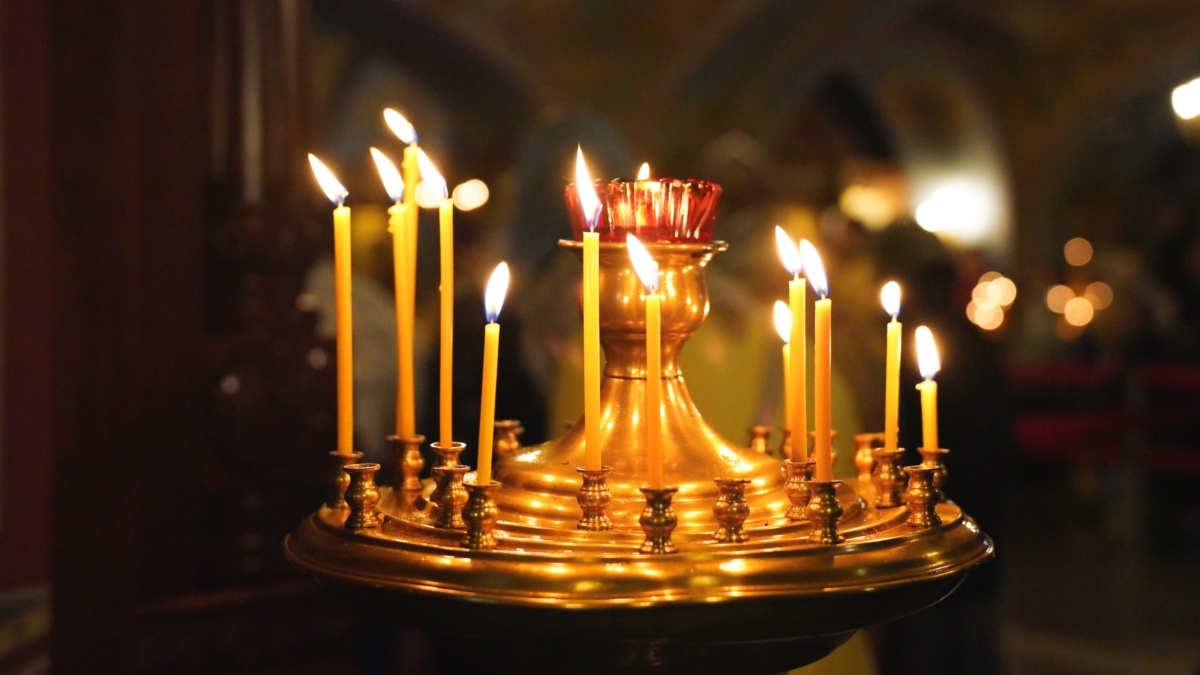 Светлана Мулыкина📷
