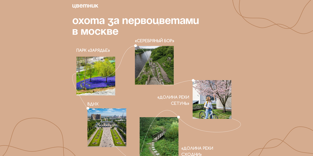 Где искать первоцветы в Москве