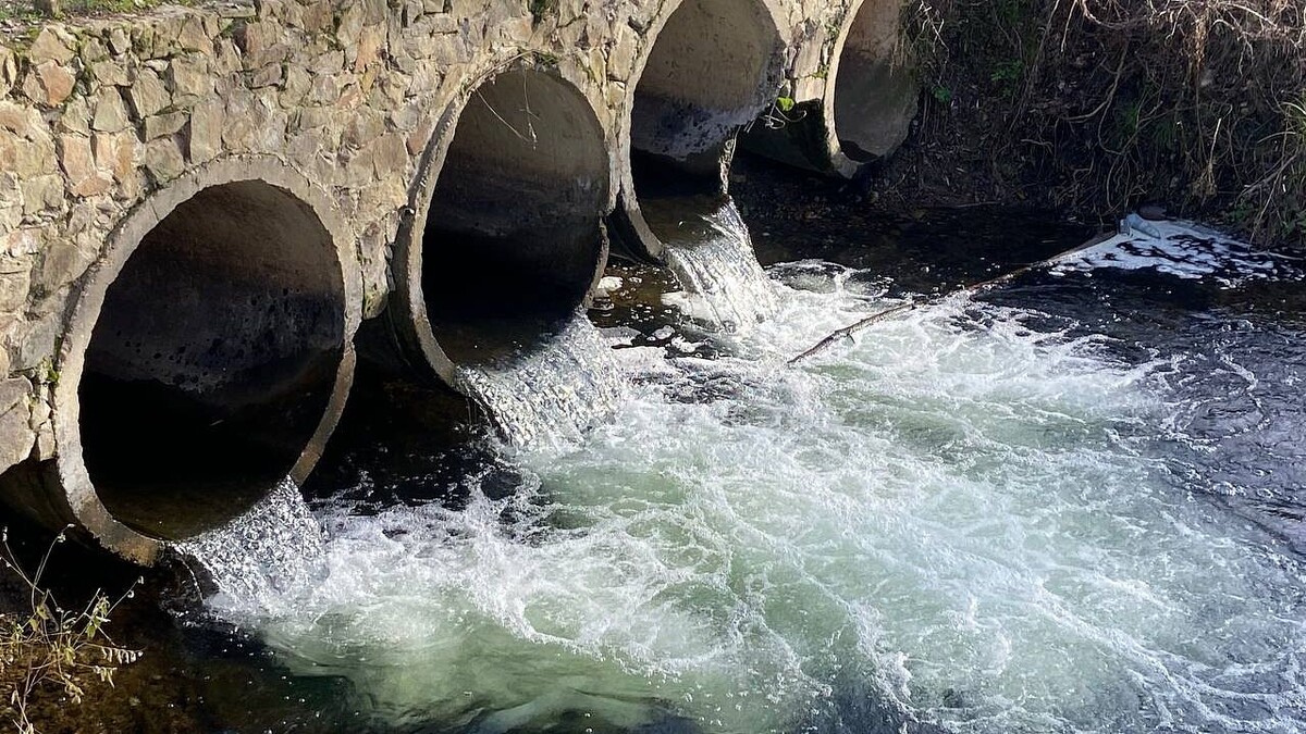    Фото: телеканал «Краснодар»