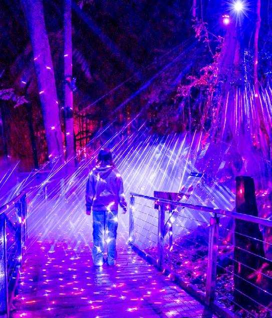 The Nocturnal experience in Katoomba, Australia. Courtesy of Gary P Hayes