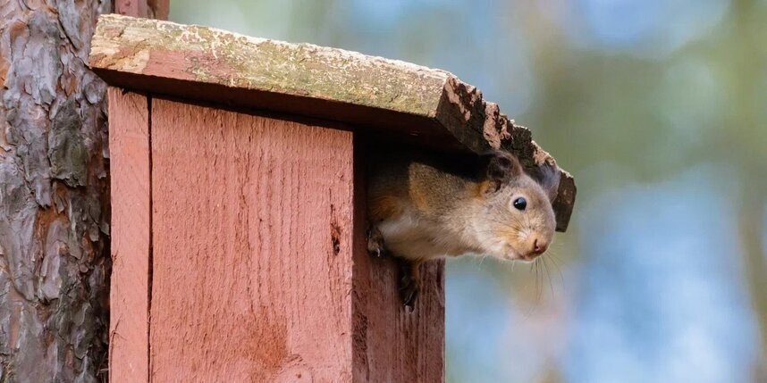    Алена Бобрович