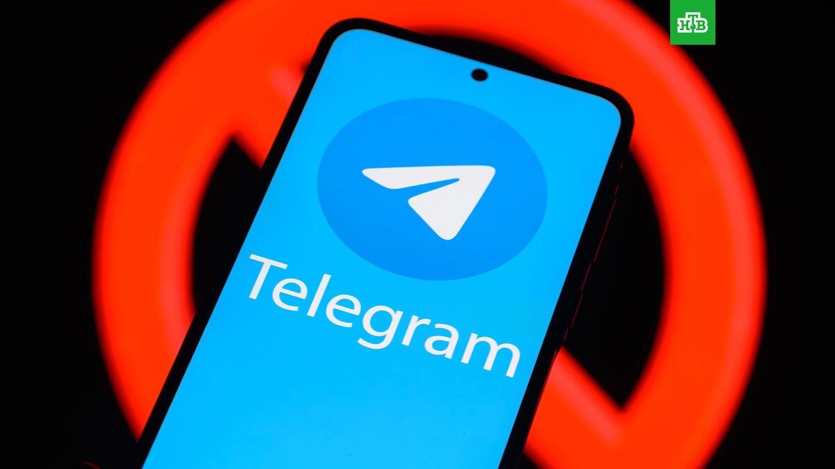    Фото: Jonathan Raa / Sipa USA / ТАСС