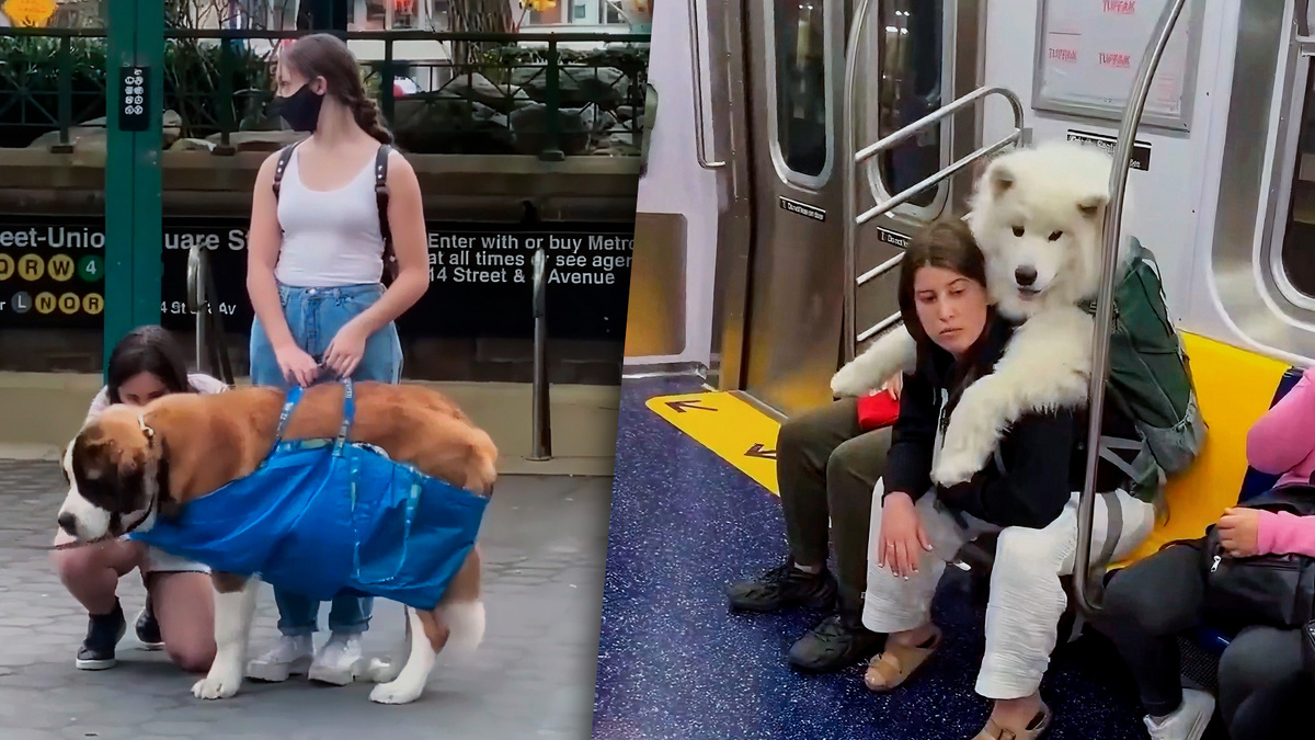 Фото с просторов интернета