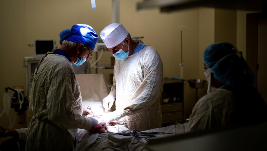    Автор фото: Сергей Бобылев/ ТАСС