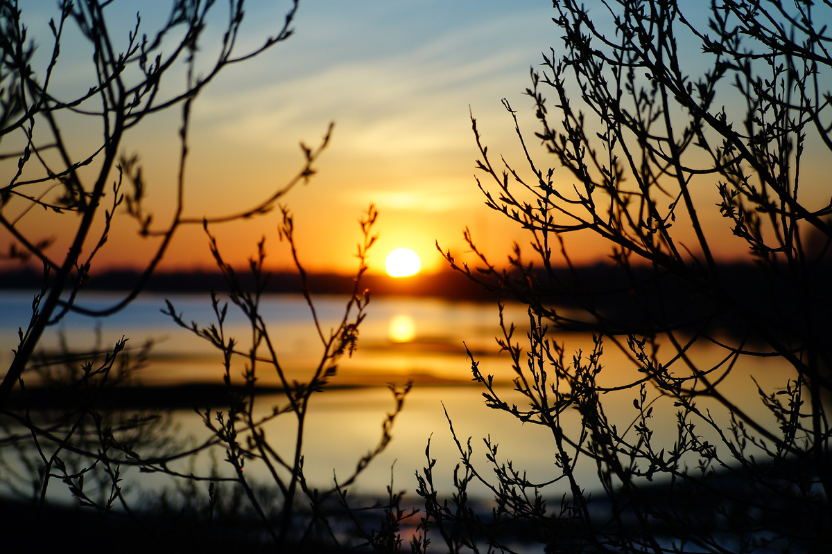 Фото: Анастасия Чистякова/РИА Верхневолжье