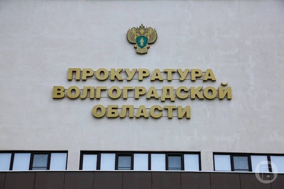    фото: Дмитрий Рогулин / "Городские вести"