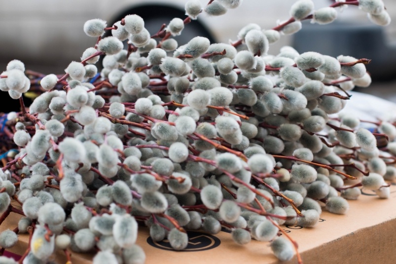 Стало известно, какой будет погода на Пасху в Омске – прогноз на 11, 12 и 13 апреля