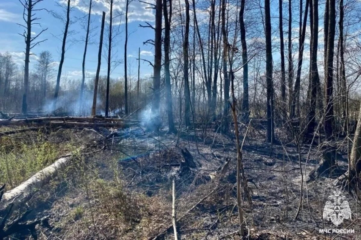    В Тверской области стартовал пожароопасный режим