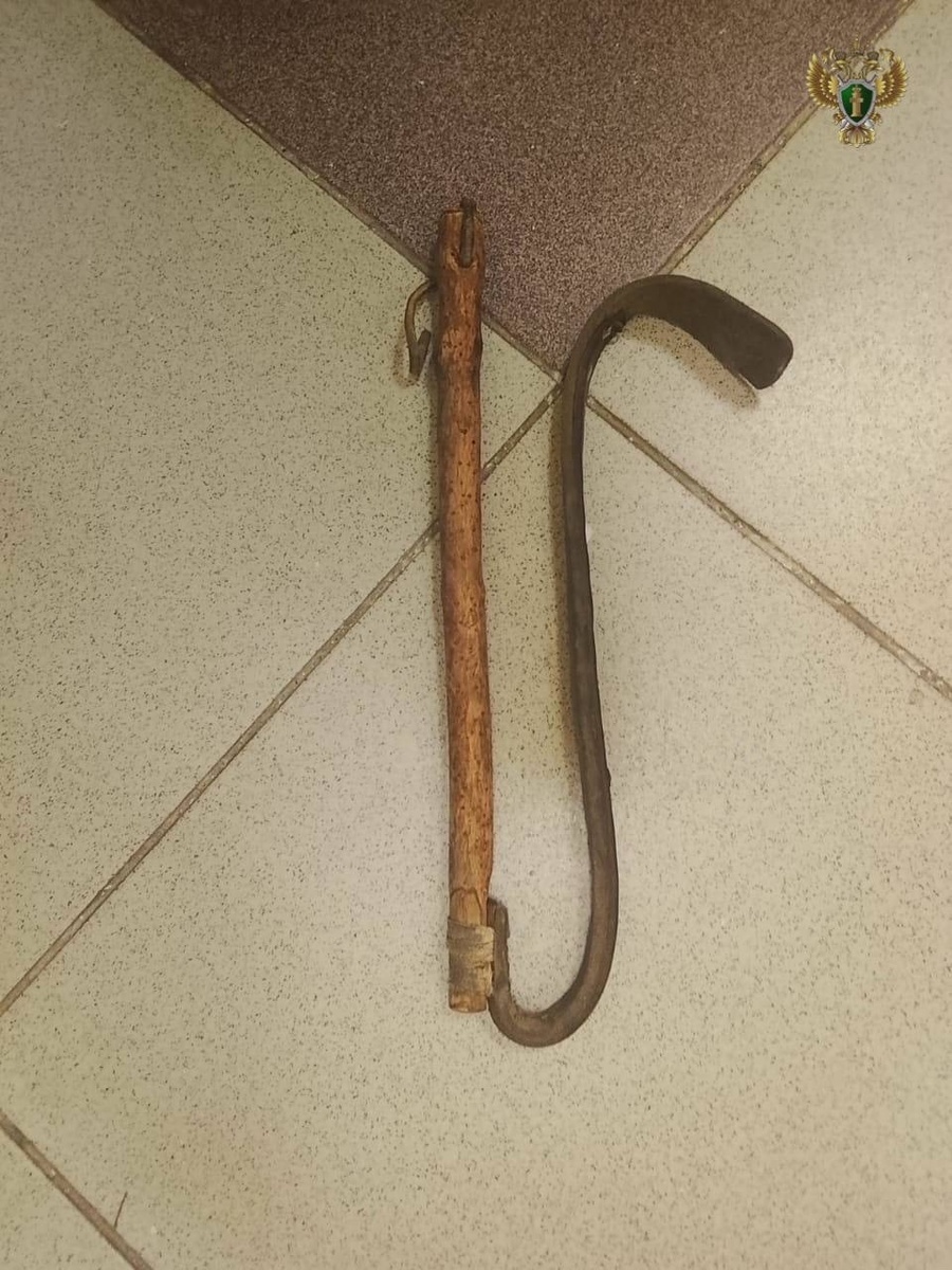 Фото: тг-канал прокуратуры Ставропольского края