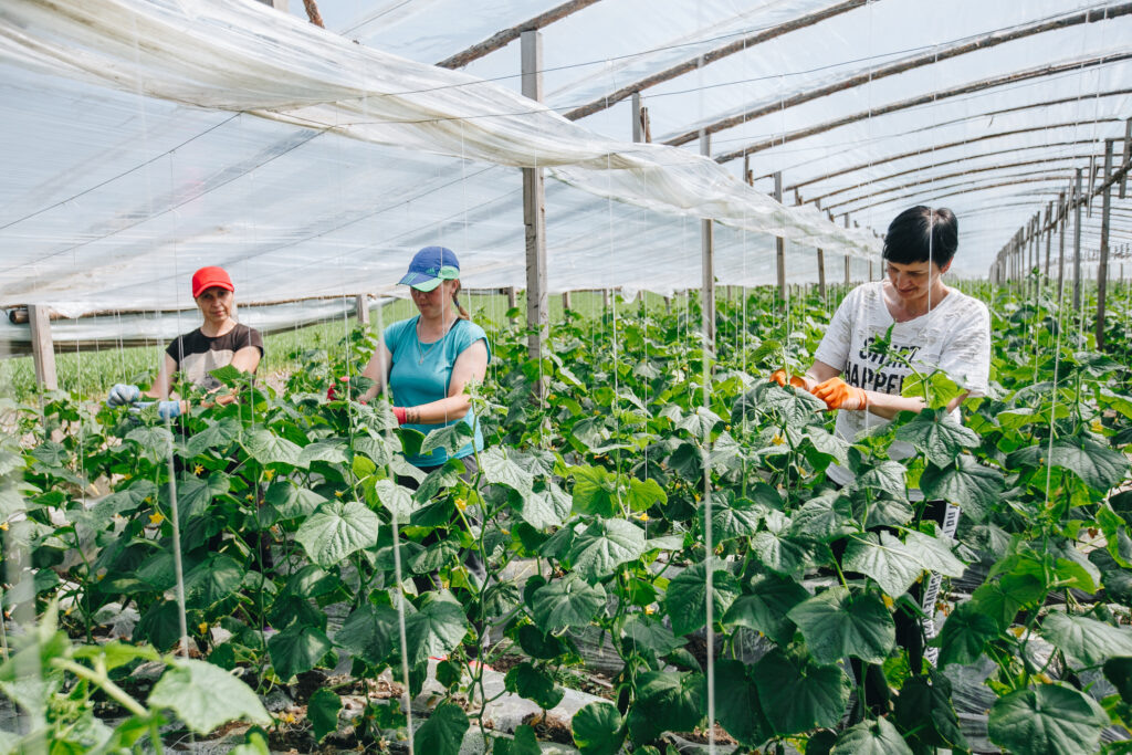   Фото: архив «КИ»