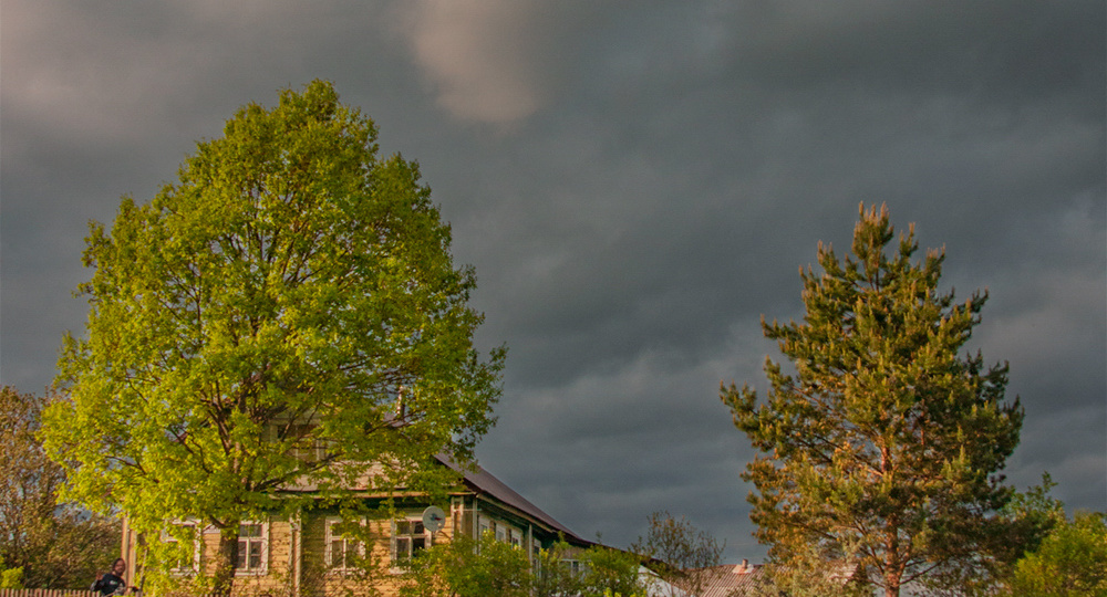 Летние картинки