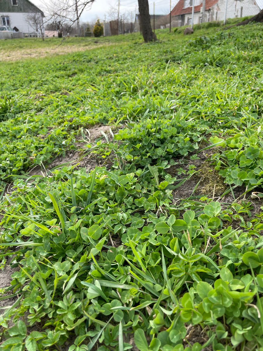 Вид в начале апреля 2026