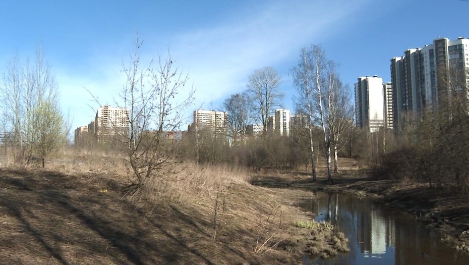    Автор фото: 78.ru