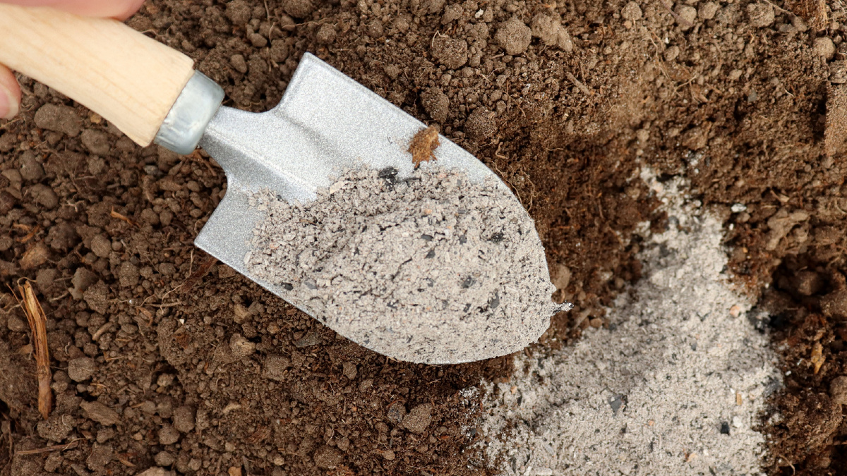 Древесная зола