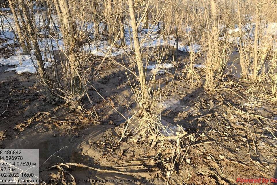    Фото: Росприроднадзор