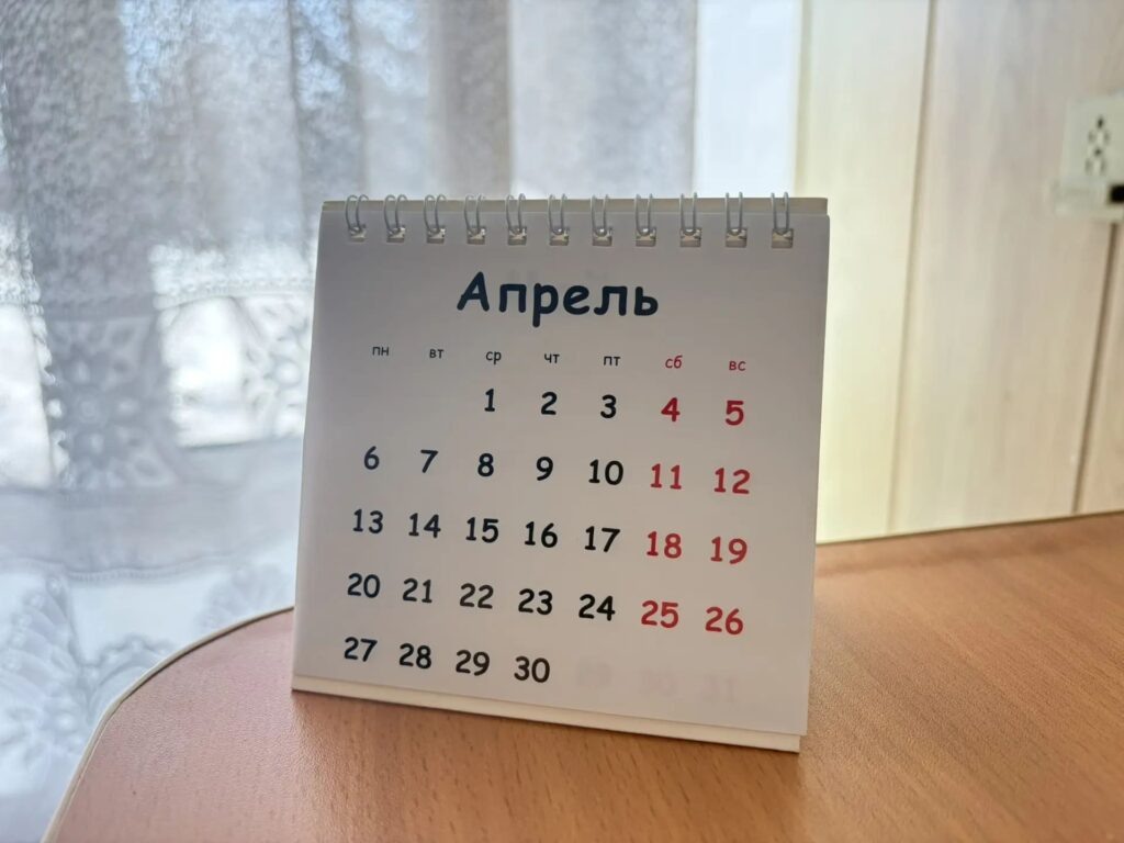    фото Наши Новости