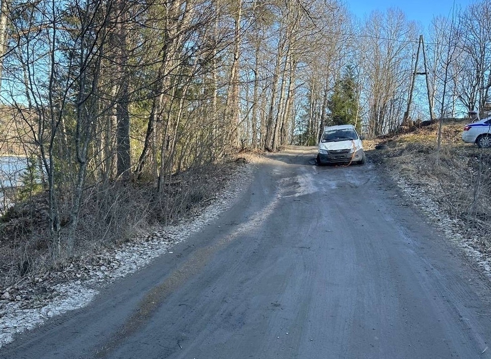    Фото: Госавтоинспекция Карелии / ВК