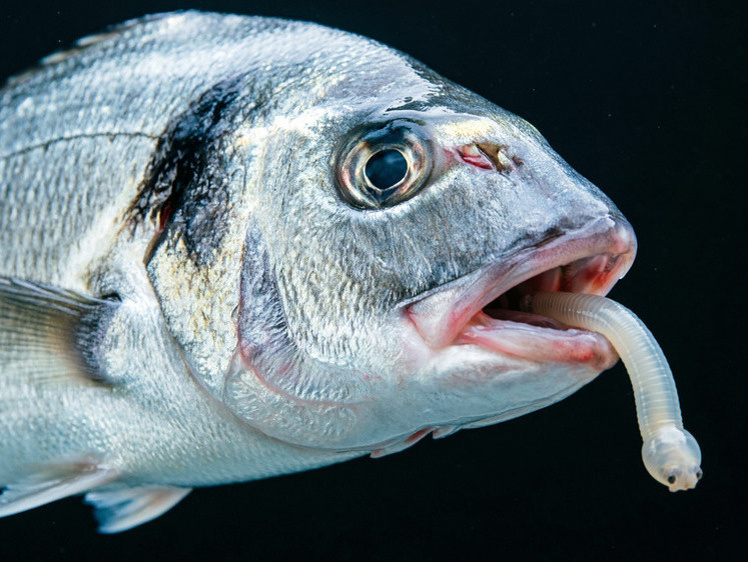     Фото создано с помощью технологий ИИ