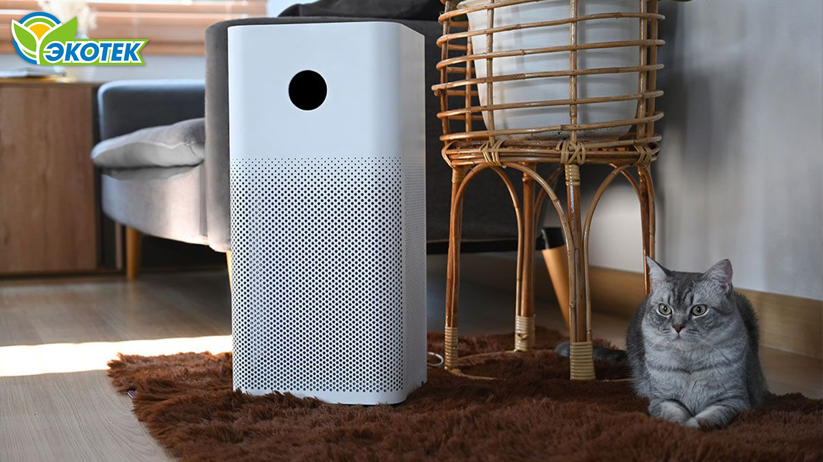 Как чистить воздух, если в доме животные? Экотек