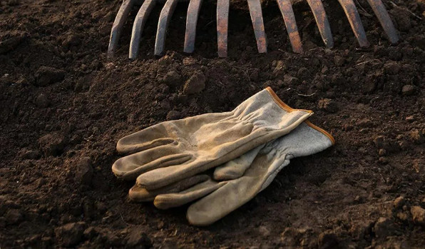 Грабли и перчатки