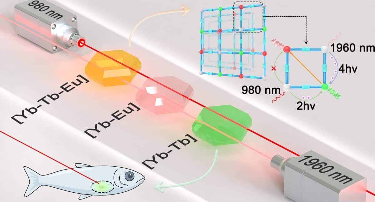    Графическое резюме исследования / © Xiaolin Yu et al / Journal of the American Chemical Society, 2026