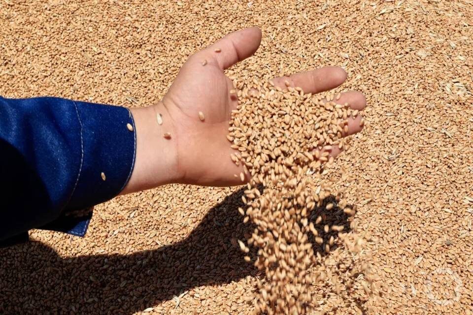    Фото: Дмитрий Рогулин / "Городские вести"