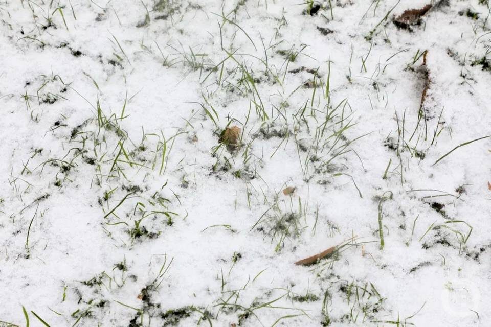    Фото: Дмитрий Рогулин / "Городские вести"