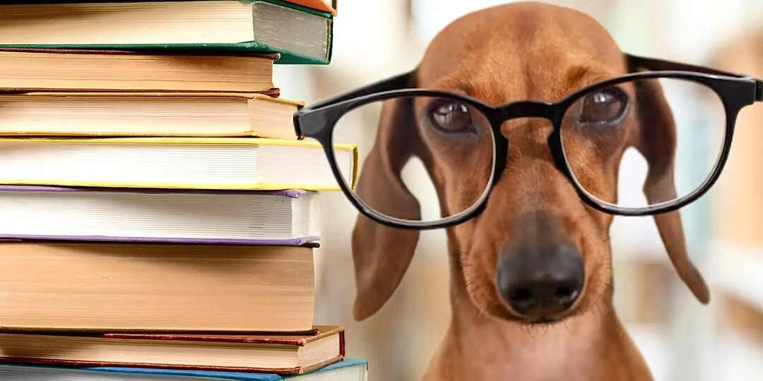 Тест по ЛИТЕРАТУРЕ на знание авторов: Кто написал эту книгу?