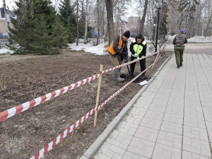 Фото МАУ «Дирекция городских парков».