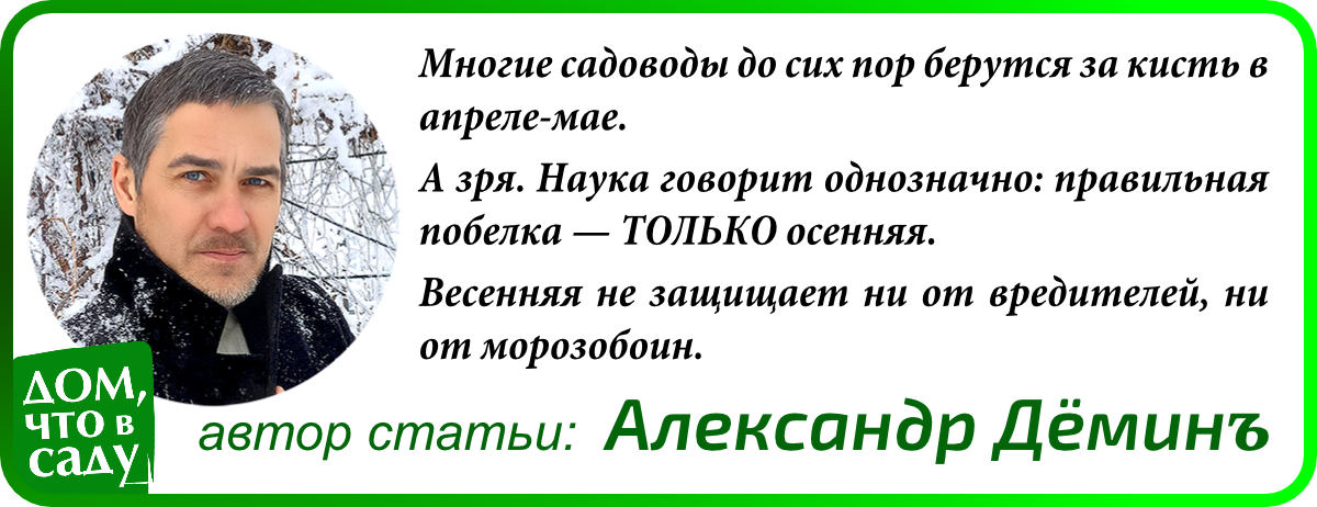 Дом, что в саду