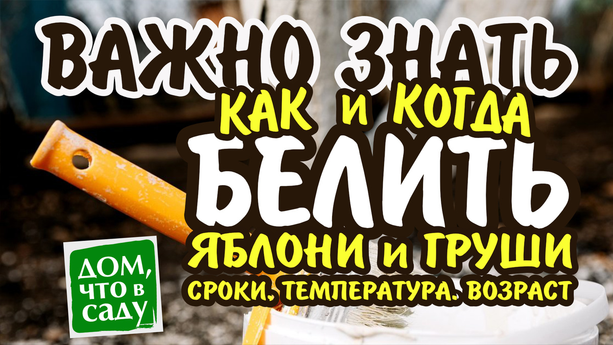 Дом, что в саду
