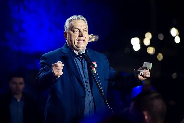    Источник: lenta.ru/ Полина Потапова