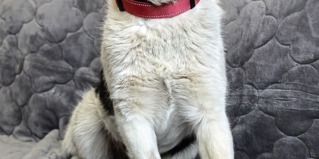 Ну вот. Мы получили одновременно одно счастье и одно несчастье.